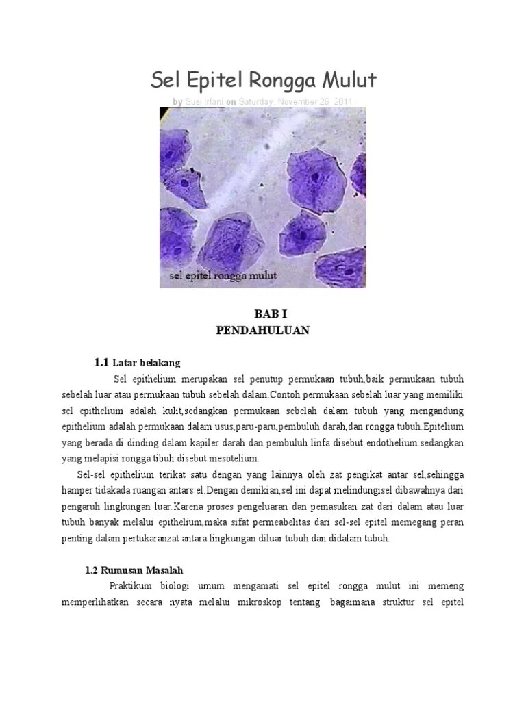 Sel Epitel Rongga Mulut | PDF