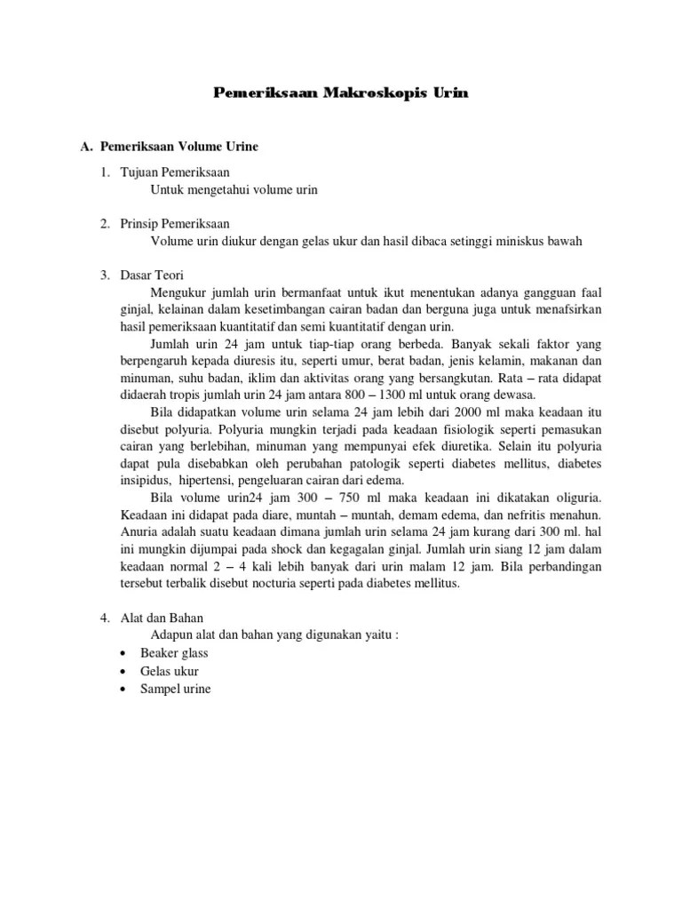 Pemeriksaan Makroskopis Urine | PDF