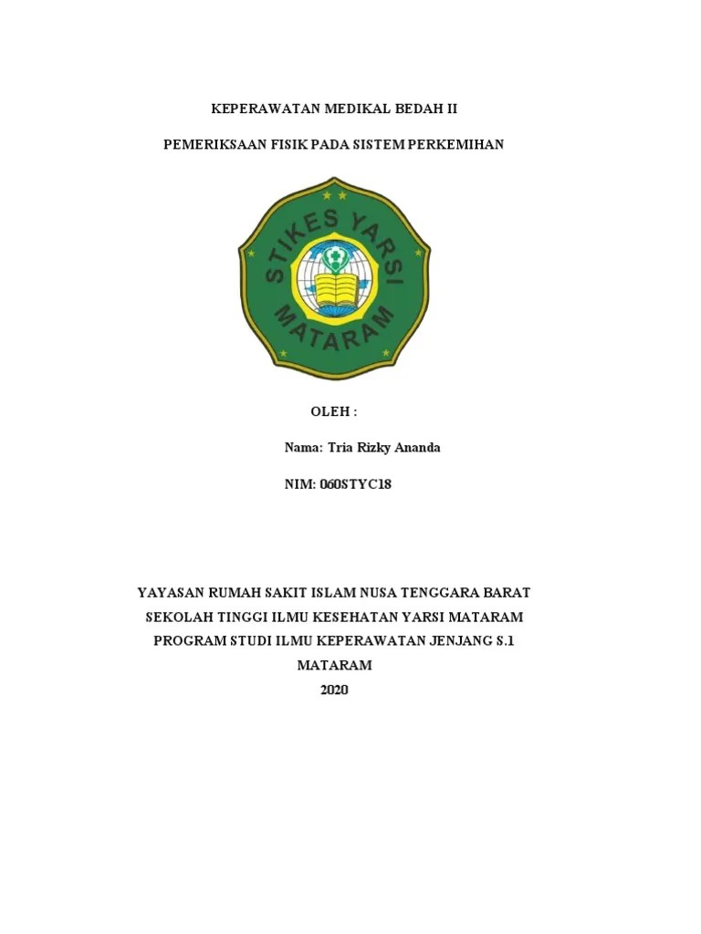 KMB Pemfis Perkemihan | PDF