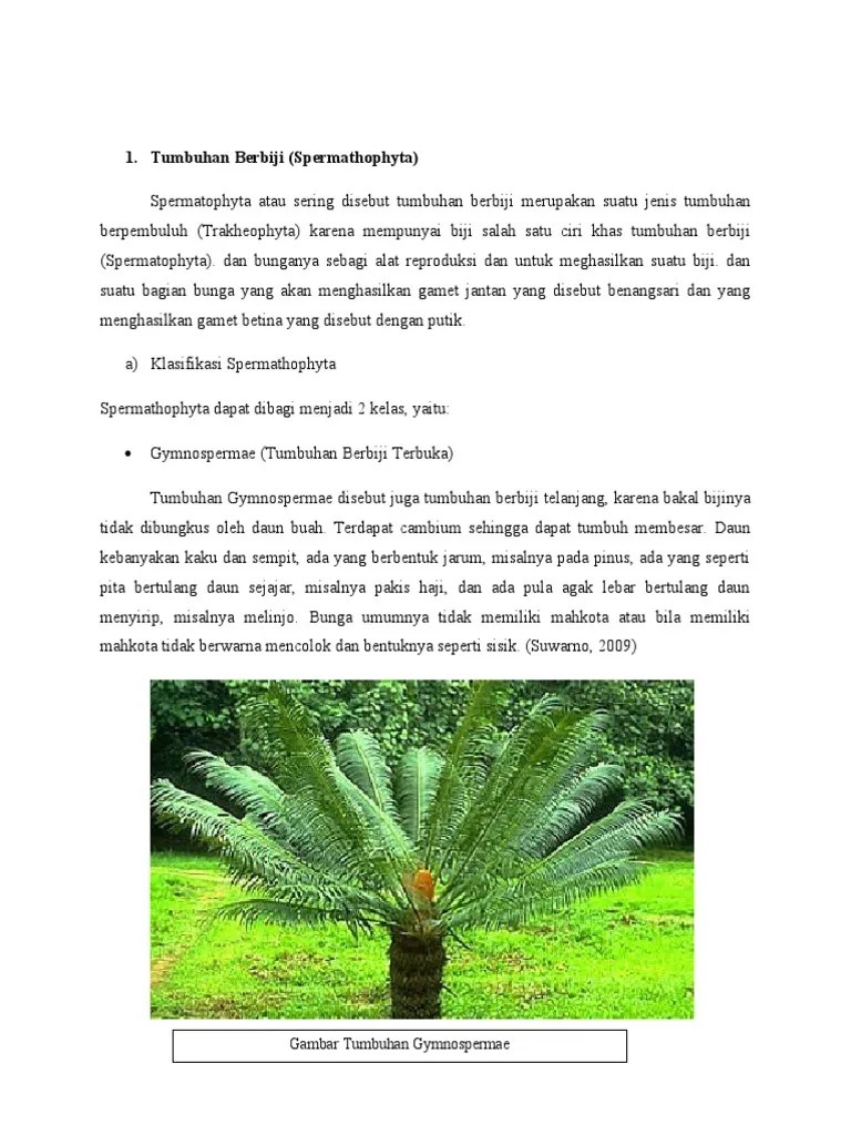 Tumbuhan Berbiji | PDF