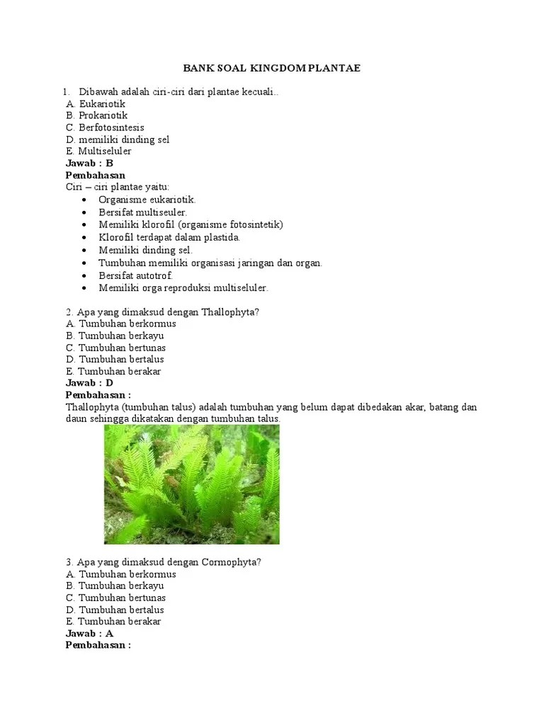 Bank Soal Kingdom Plantae | PDF