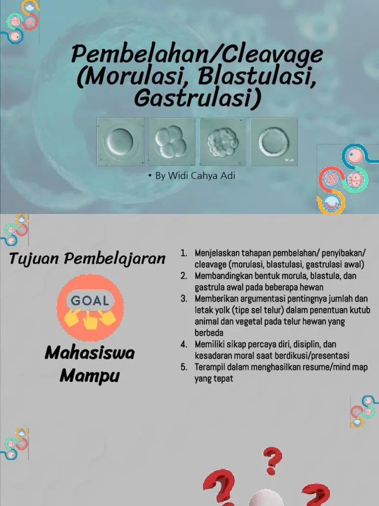 CLEAVAGE (Morulasi, Blastulasi, Gastrulasi) PDF | PDF