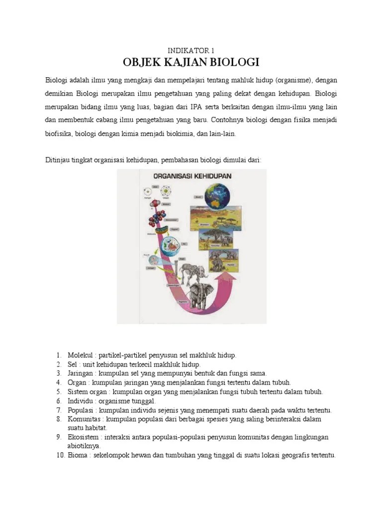 Indikator Konsep Biologi | PDF