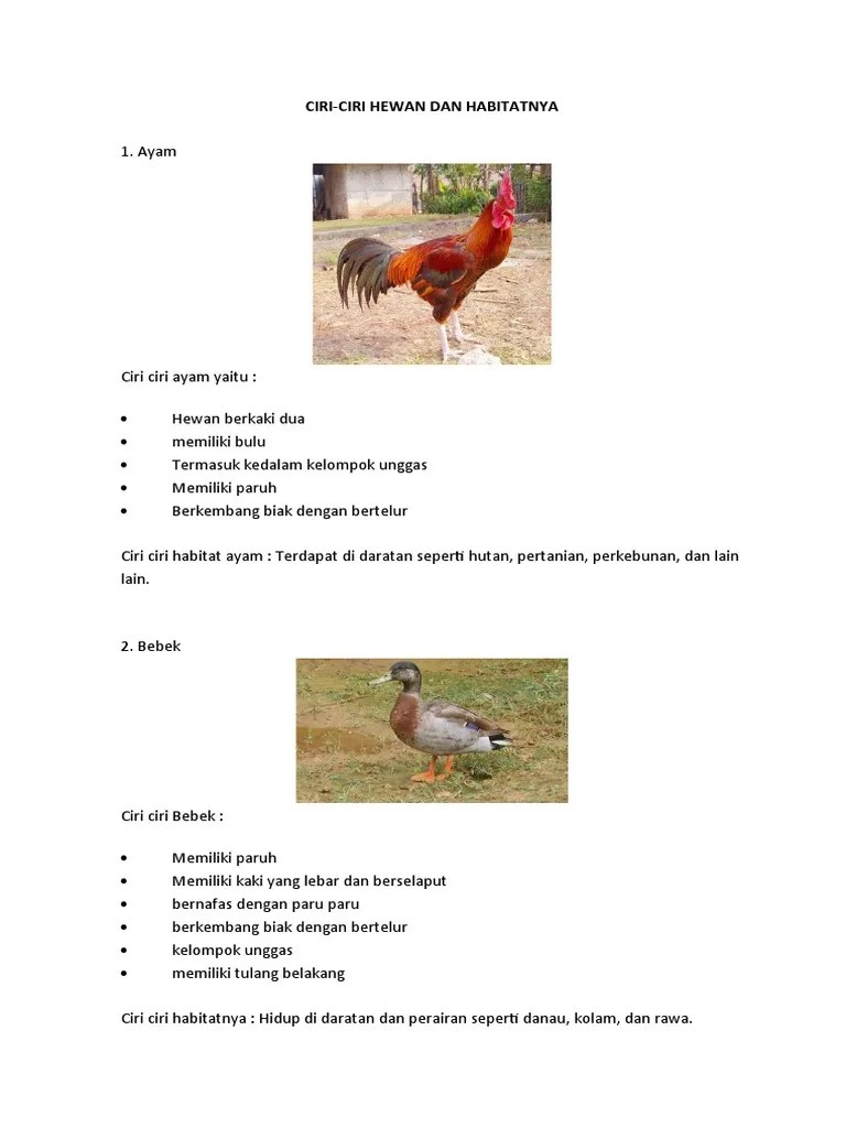 CIRI HEWAn DAN HABITAT | PDF