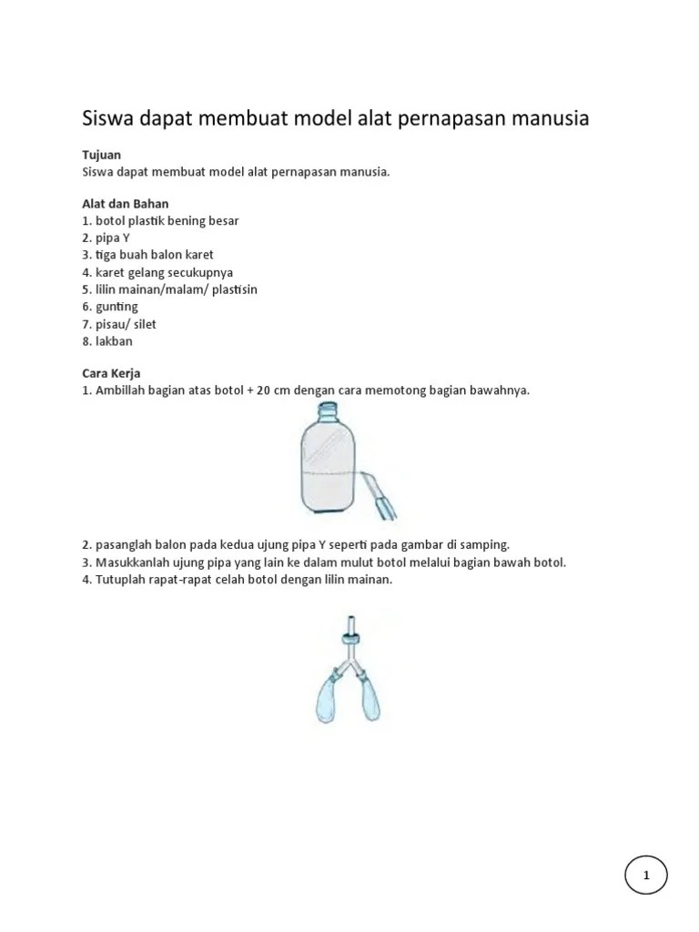 Alat Peraga Paru2 | PDF