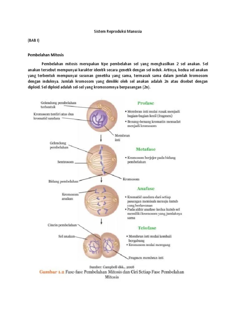 Materi Ipa Kelas 9 | PDF