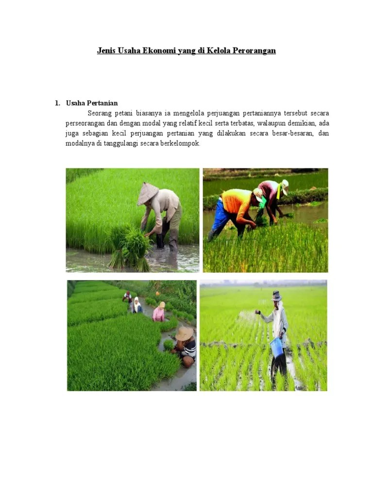 Jenis Usaha Ekonomi Yang Di Kelola Perorangan