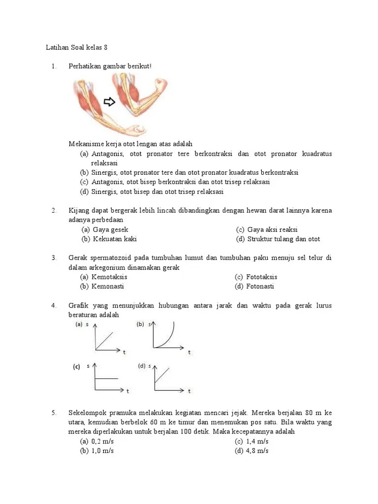 Latihan Soal IPA Kelas 8 | PDF