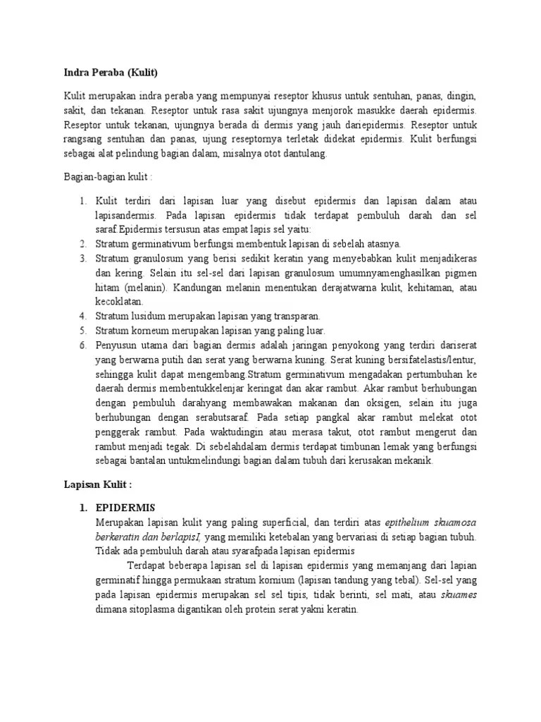 Anantomi Fisiologi Indra Peraba | PDF