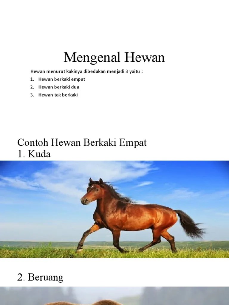 Mengenal Hewan | PDF