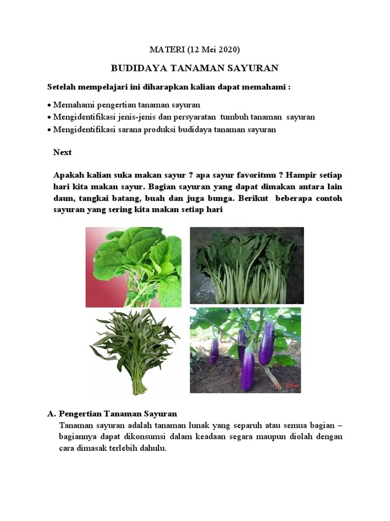 Materi Prakarya Budidaya | PDF
