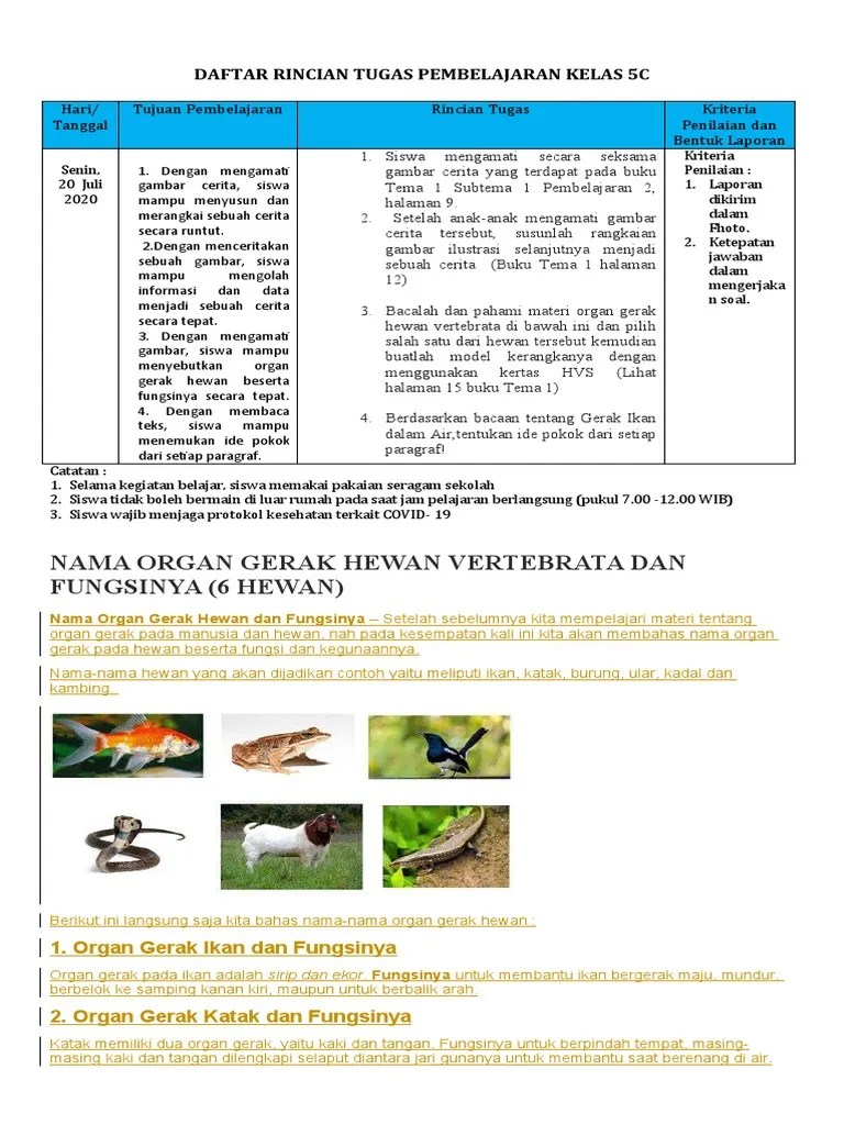 Tugas Hari Kamis 16 Juli 2020 | PDF