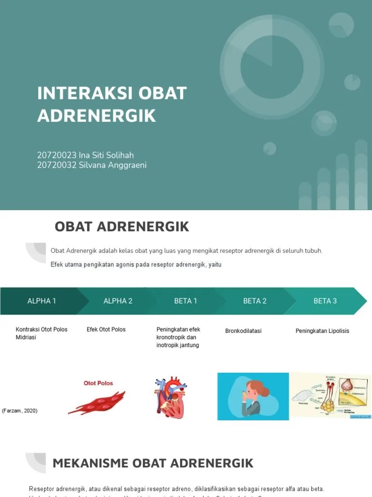 Adrenergik Interaksi Obat - 20720023 Ina Siti Solehah Dan 20720032 Silvana  Anggraeni | PDF