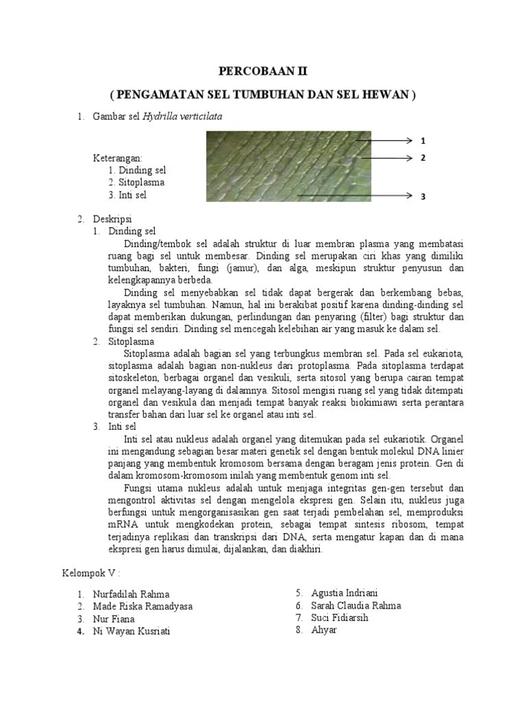 Hydrilla Verticilata | PDF