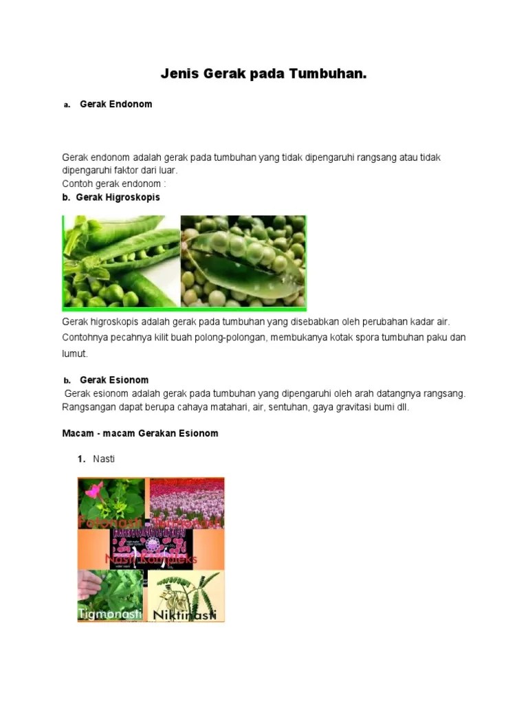 Jenis Gerak Pada Tumbuhan