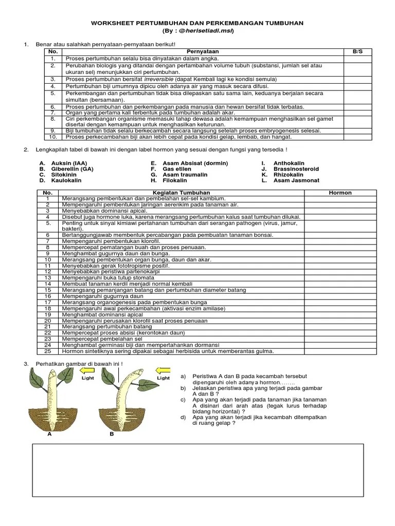 LKPD 3 Biologi SM1 Kelas 12 | PDF