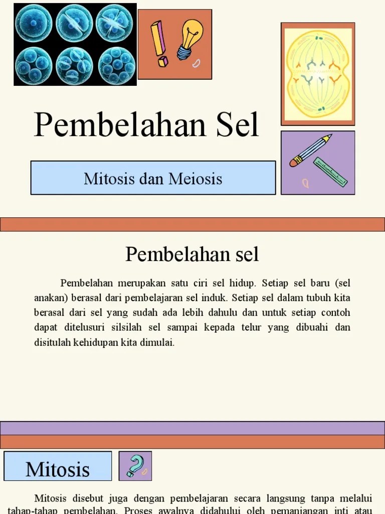 REPRODUKSI SEL (MITOSIS DAN MEIOSIS) | PDF