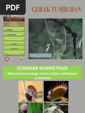 Gerak Pada Tumbuhan | PDF