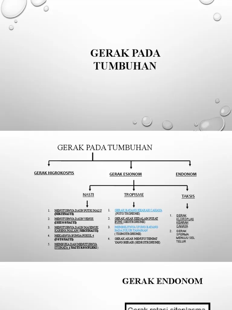 Gerak tumbuhan | PDF