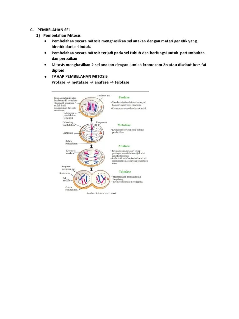 Materi 3. Pembelahan Sel, Spermatogenesis, Oogenesis | PDF