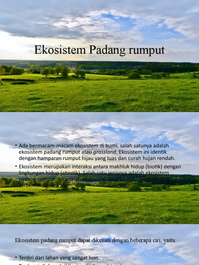 Tugas Biologi Ekosistem Padang Rumput | PDF