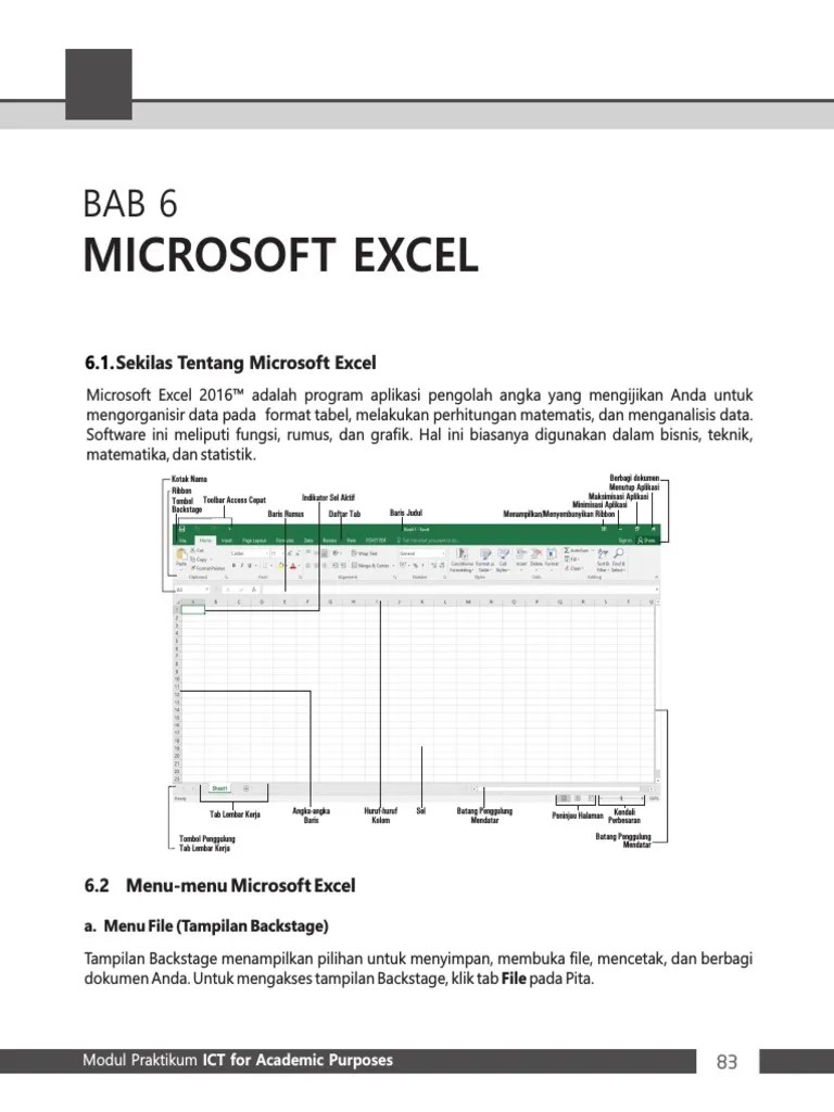 Microsoft Excel | PDF