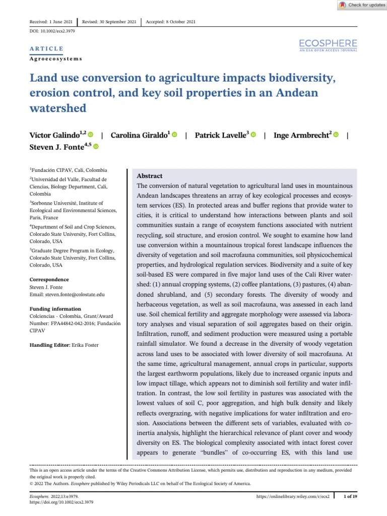 Beyond Translation: Why Wording is the Conversion Catalyst in Global Ads