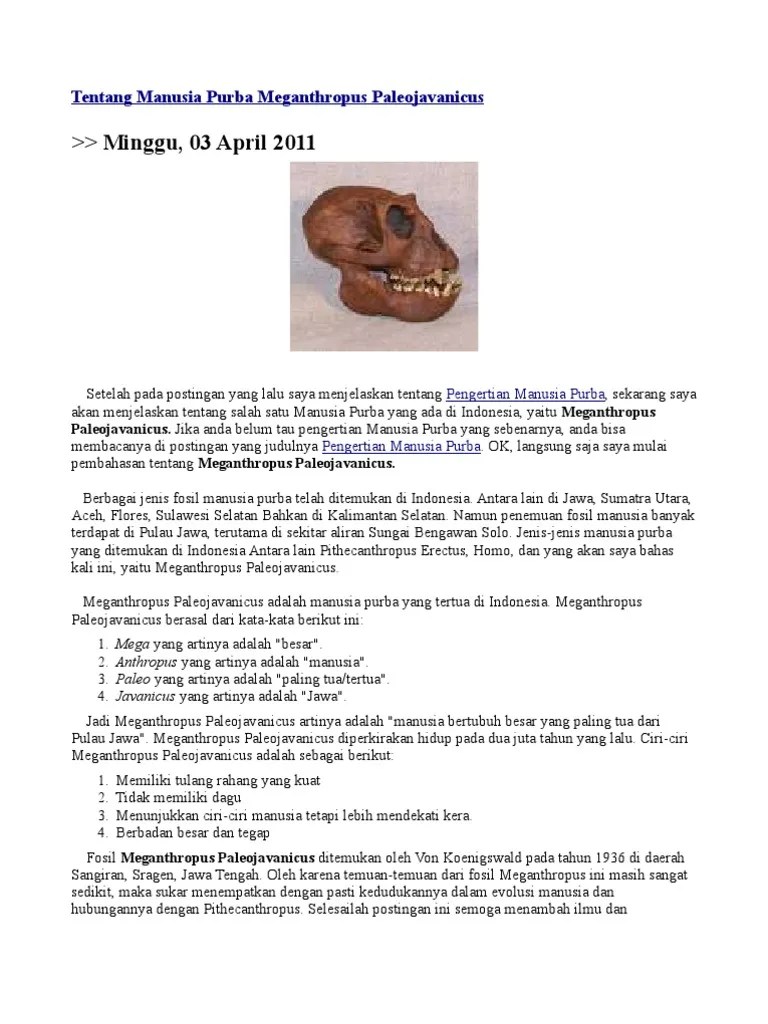 Jelaskan Jenis Manusia Purba Yang Ditemukan Von Koenigswald