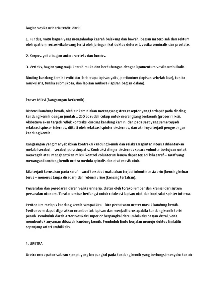Bagian Vesika Urinaria Terdiri Dari | PDF