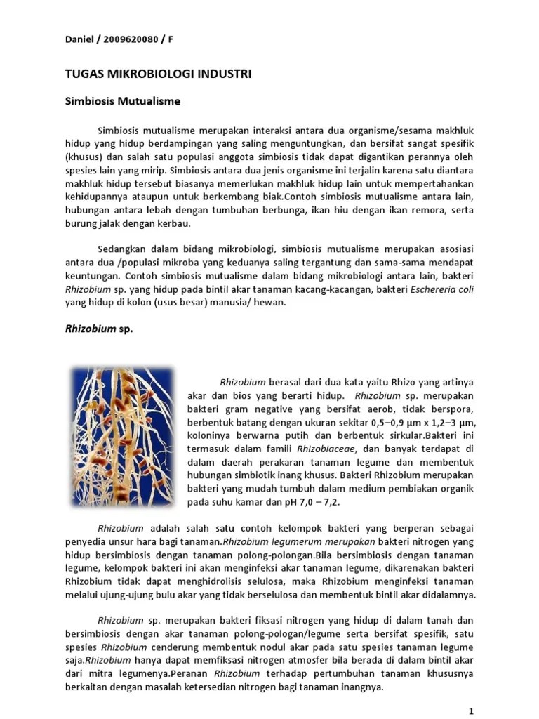 (3.1.1) Simbiosis Mutualisme | PDF