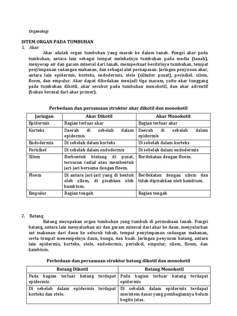 Perbedaan Dan Persamaan Struktur Jaringan Batang Monokotil Dan Dikotil