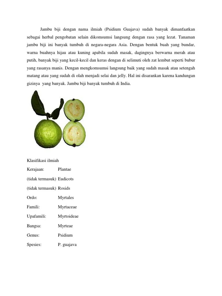 Jambu Biji Dengan Nama Ilmiah | PDF