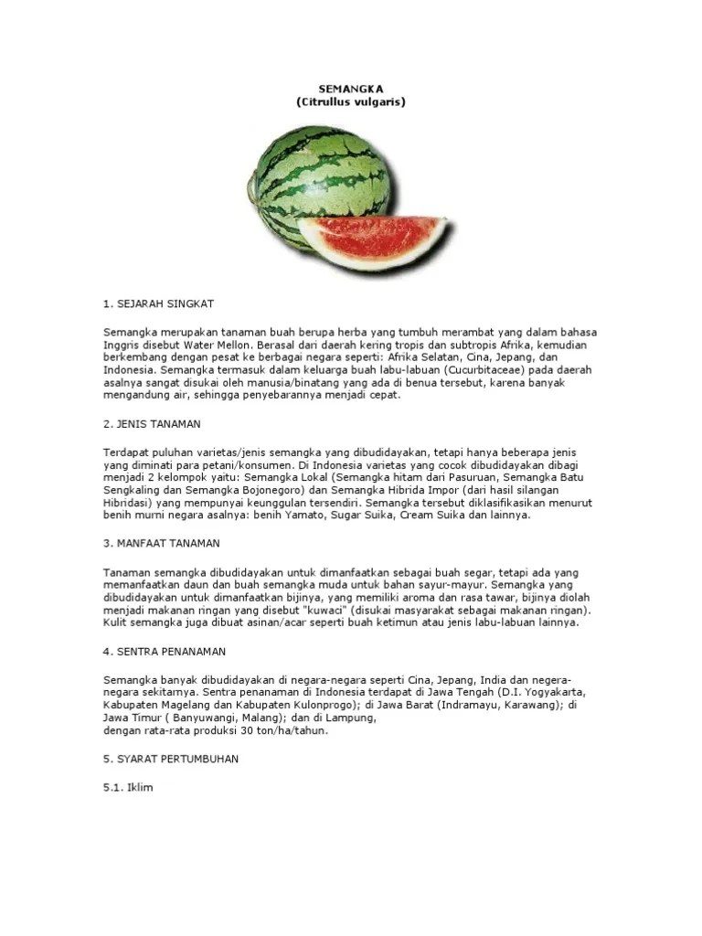 Budidaya Tanaman Semangka | PDF