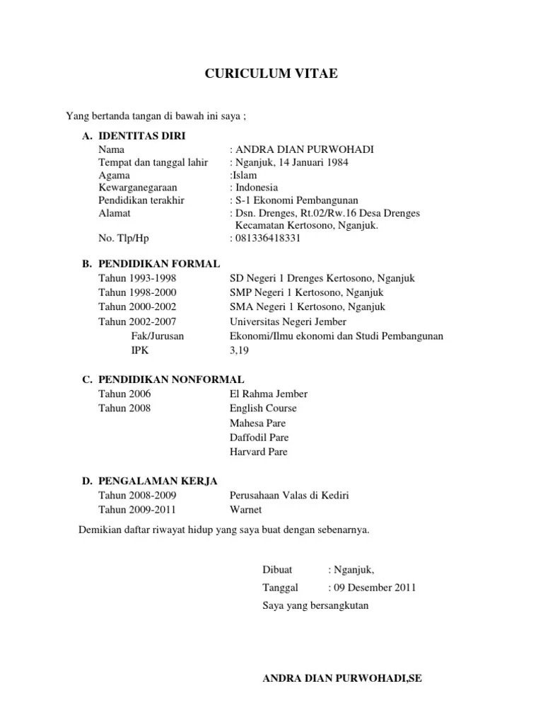 Curiculum Vitae | PDF