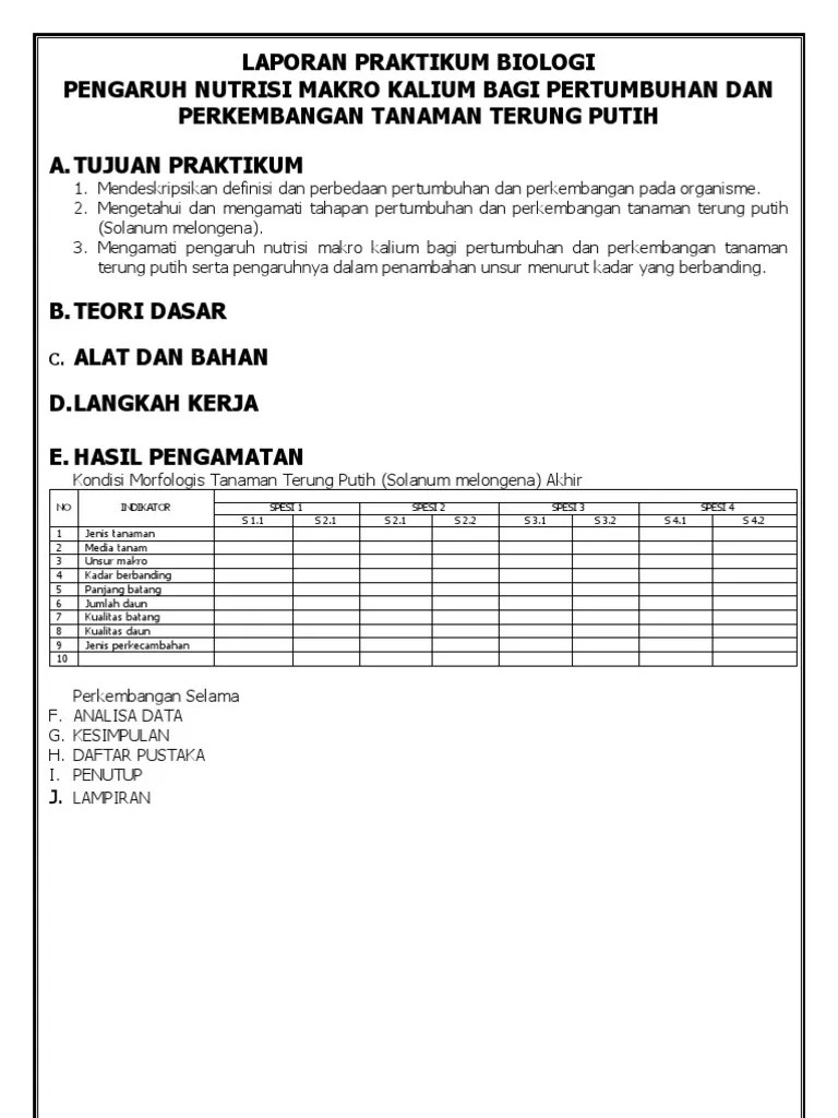 Laporan Praktikum Enzim Katalase Pada Hati Dan Jantung – Nasi