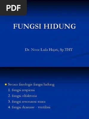 Fungsi Hidung | PDF