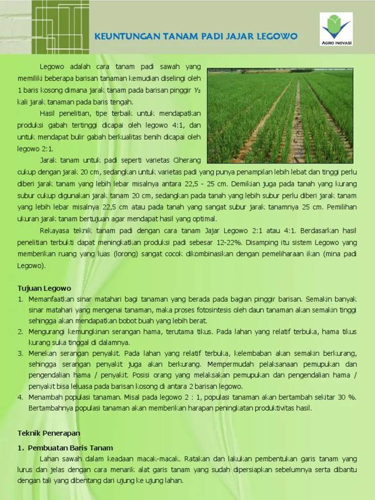 Leaflet Jajar Legowo | PDF