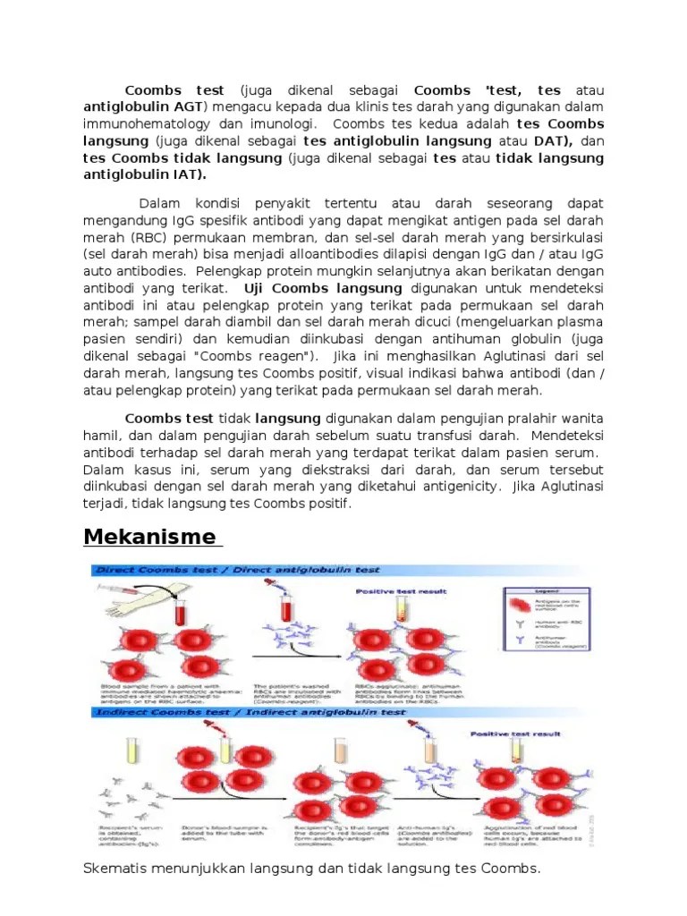 Coombs Test | PDF