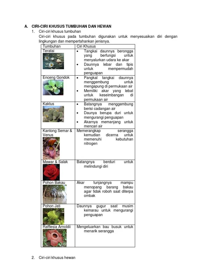 Ciri Khusus Hewan Dan Tumbuhan Kelas 6 – Kita