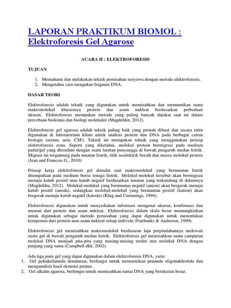 Elektroforesis Gel Agarosa | PDF