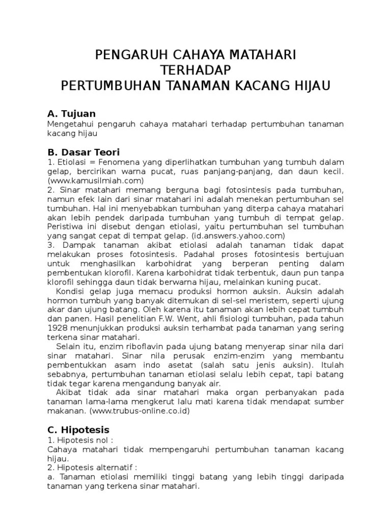 Contoh Laporan Penelitian Pengaruh Cahaya Matahari Terhadap Pertumbuhan Kacang  Hijau