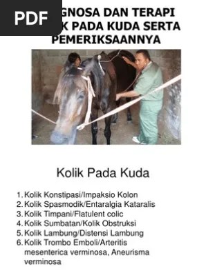 Diagnosa Dan Terapi Kolik Pada Kuda Serta Pemeriksaannyaa | PDF