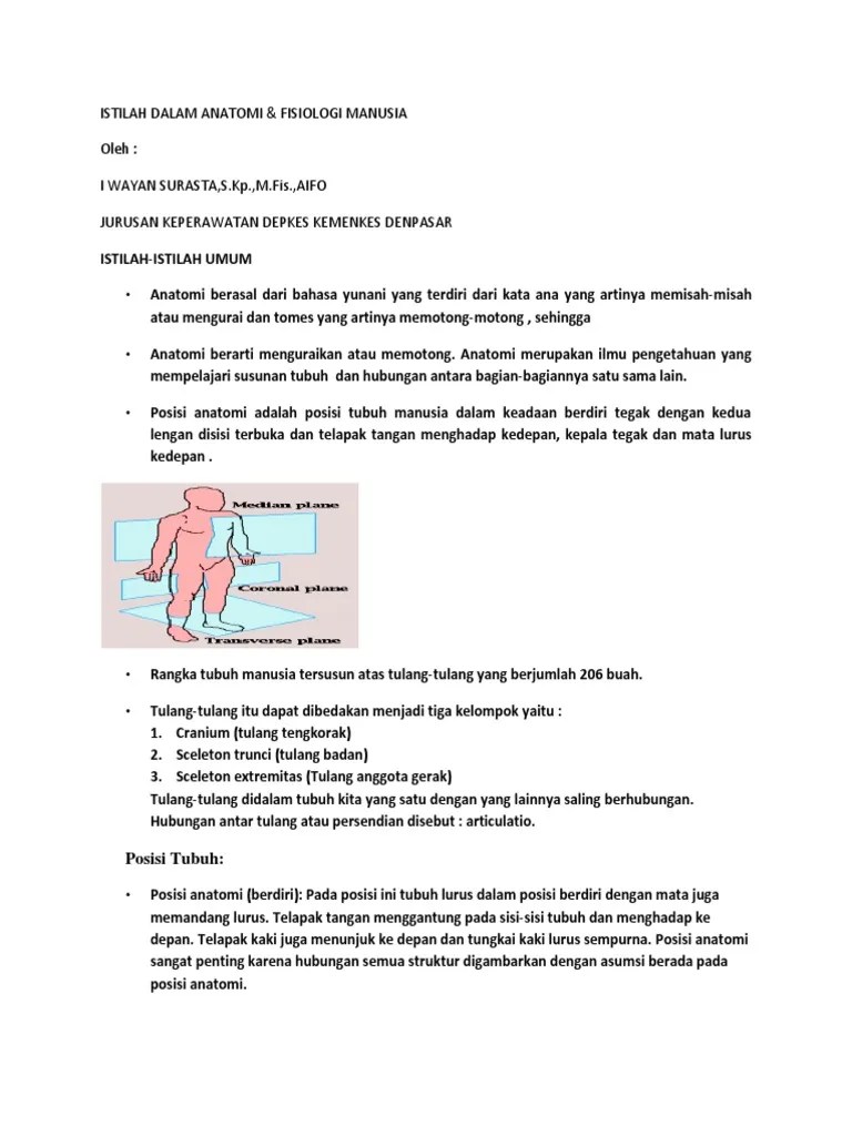 Istilah Dalam Anatomi | PDF