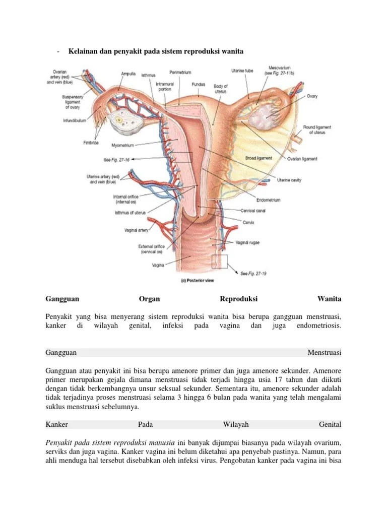 Kelainan Dan Penyakit Pada Sistem Reproduksi Wanita | PDF