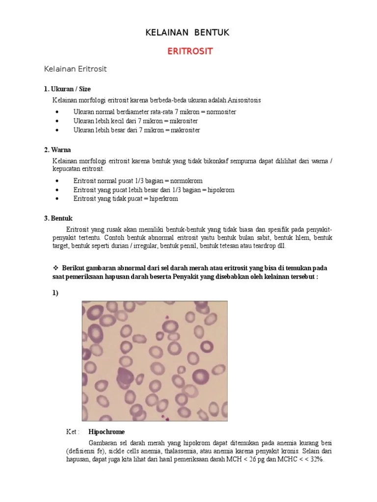 Kelainan Bentuk | PDF