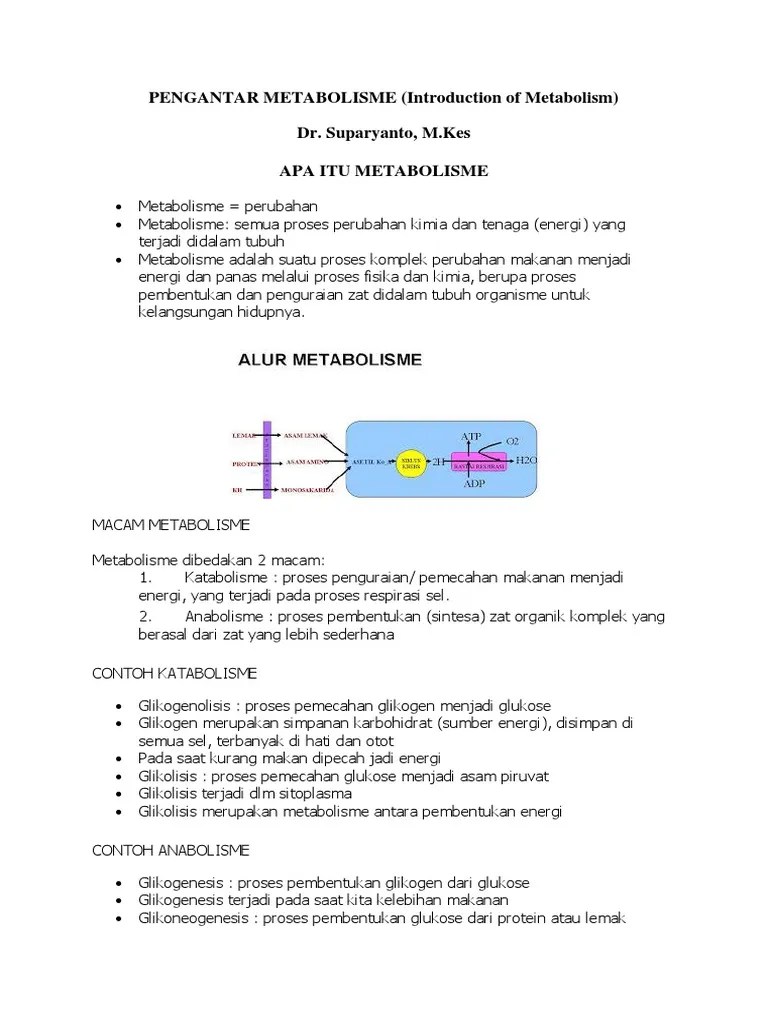 Contoh Anabolisme Karbohidrat