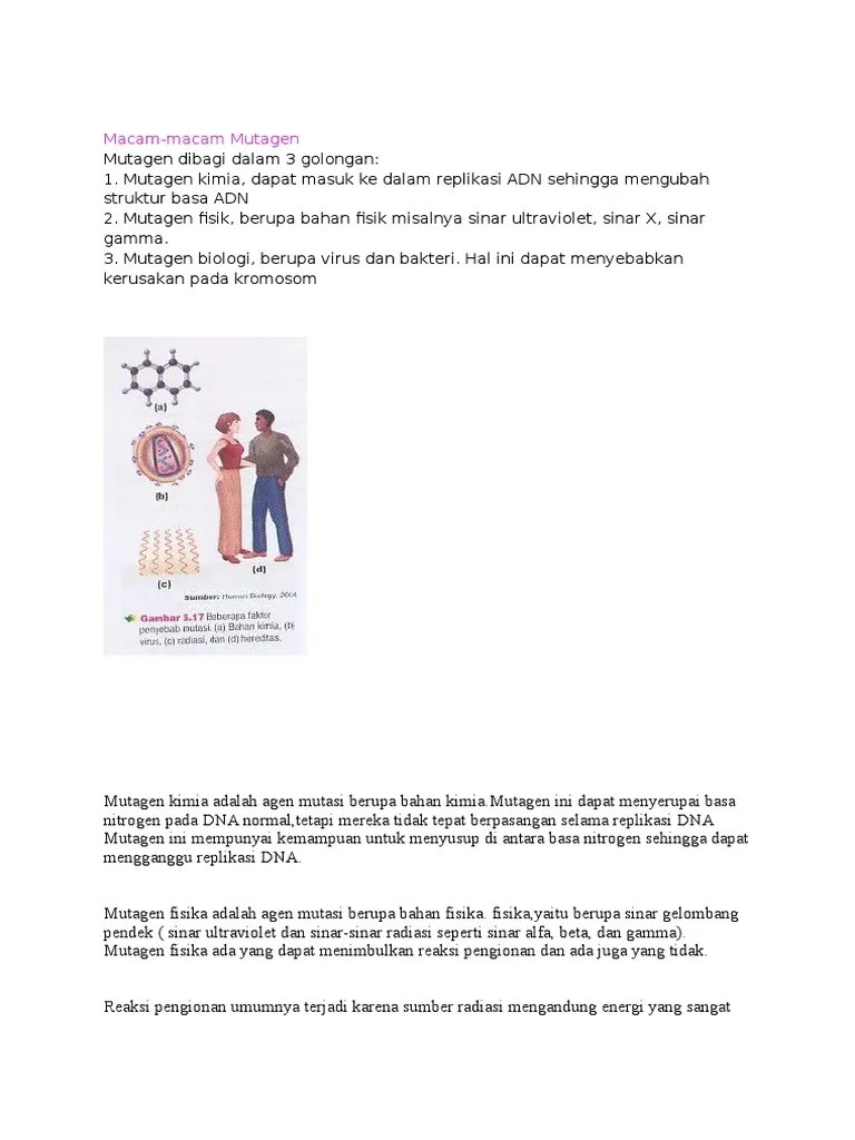 Bagaimana Mutagen Kimia Dapat Menyebabkan Perubahan Dna – Penggambar