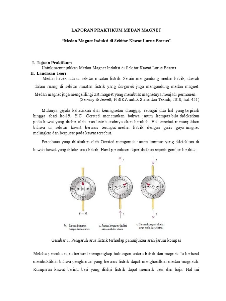 Medan Magnet | PDF