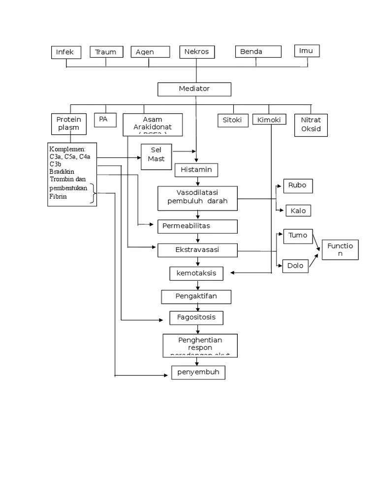 Bagan Inflamasi | PDF