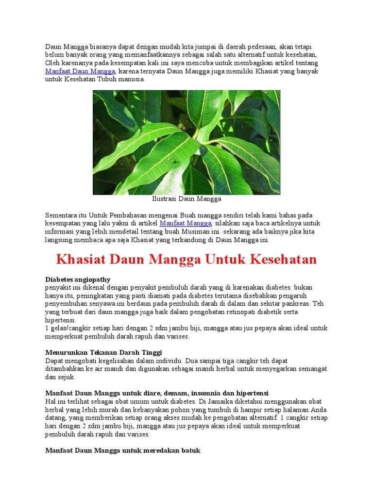 Daun Mangga Biasanya Dapat Dengan Mudah Kita Jumpai Di Daerah Pedesaan | PDF